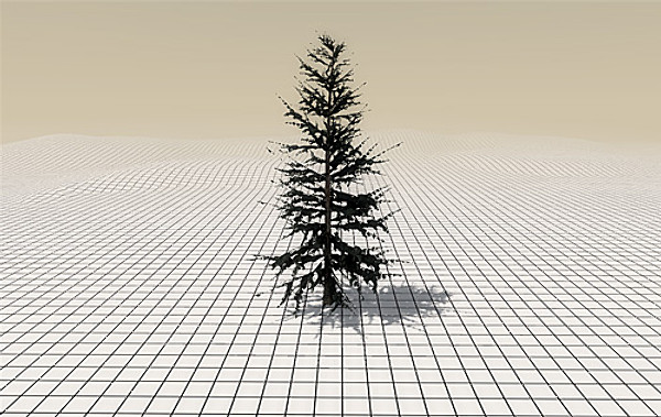 afghan vegetation 24 tree 3d max - 24 Afghan Vegetation Models by pure3dviz
